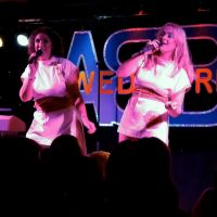 Swede Dreamz ABBA Tribute Band